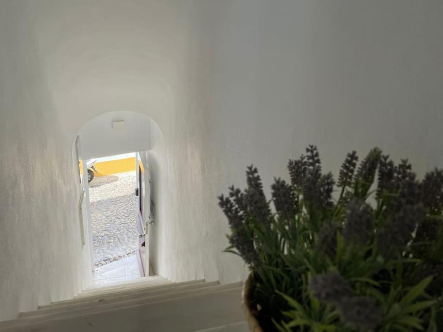 Casa Da Oliveira Daire Évora Dış mekan fotoğraf